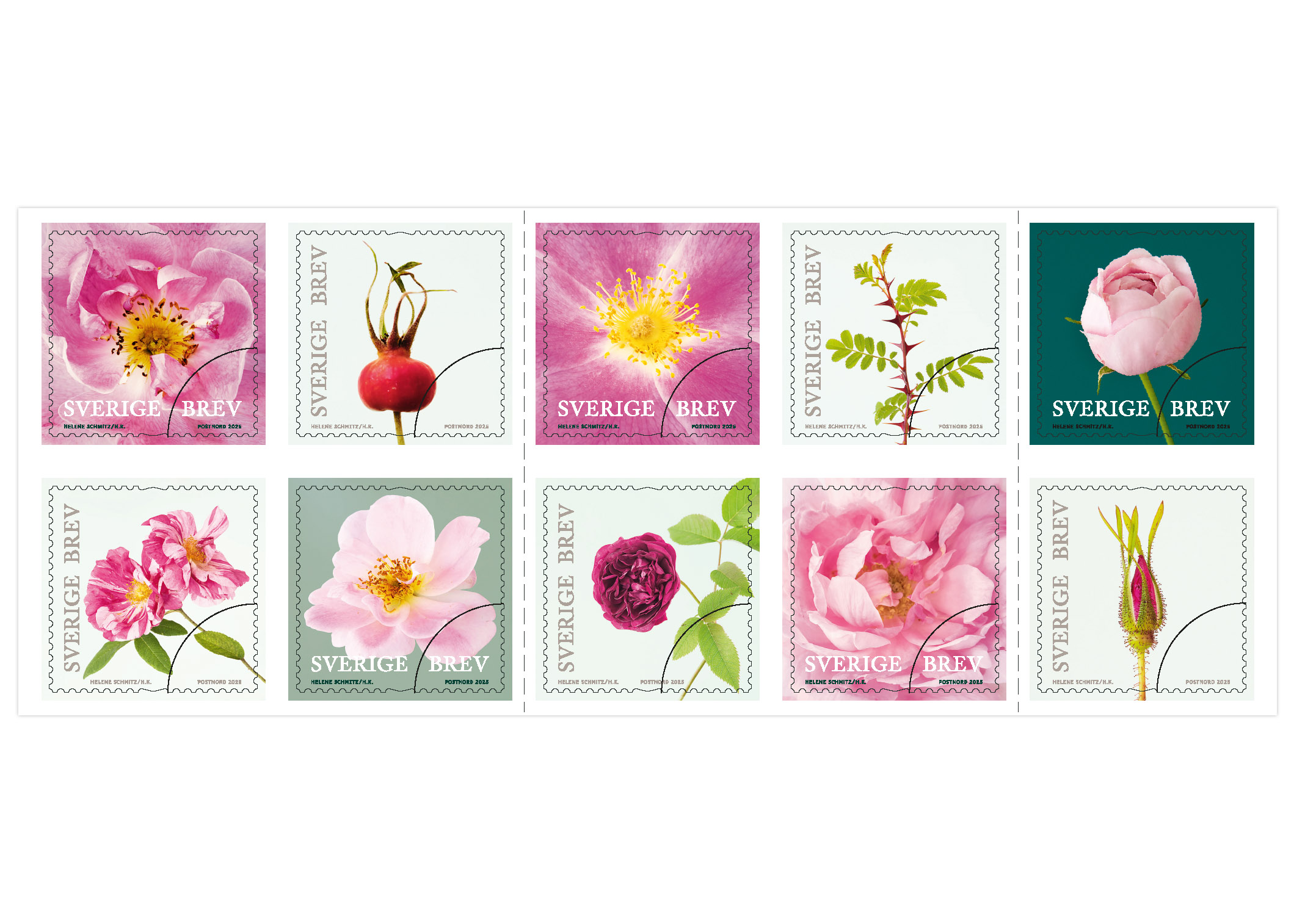 Frimärkshäfte med 10 frimärken, alla med olika rosmotiv.
