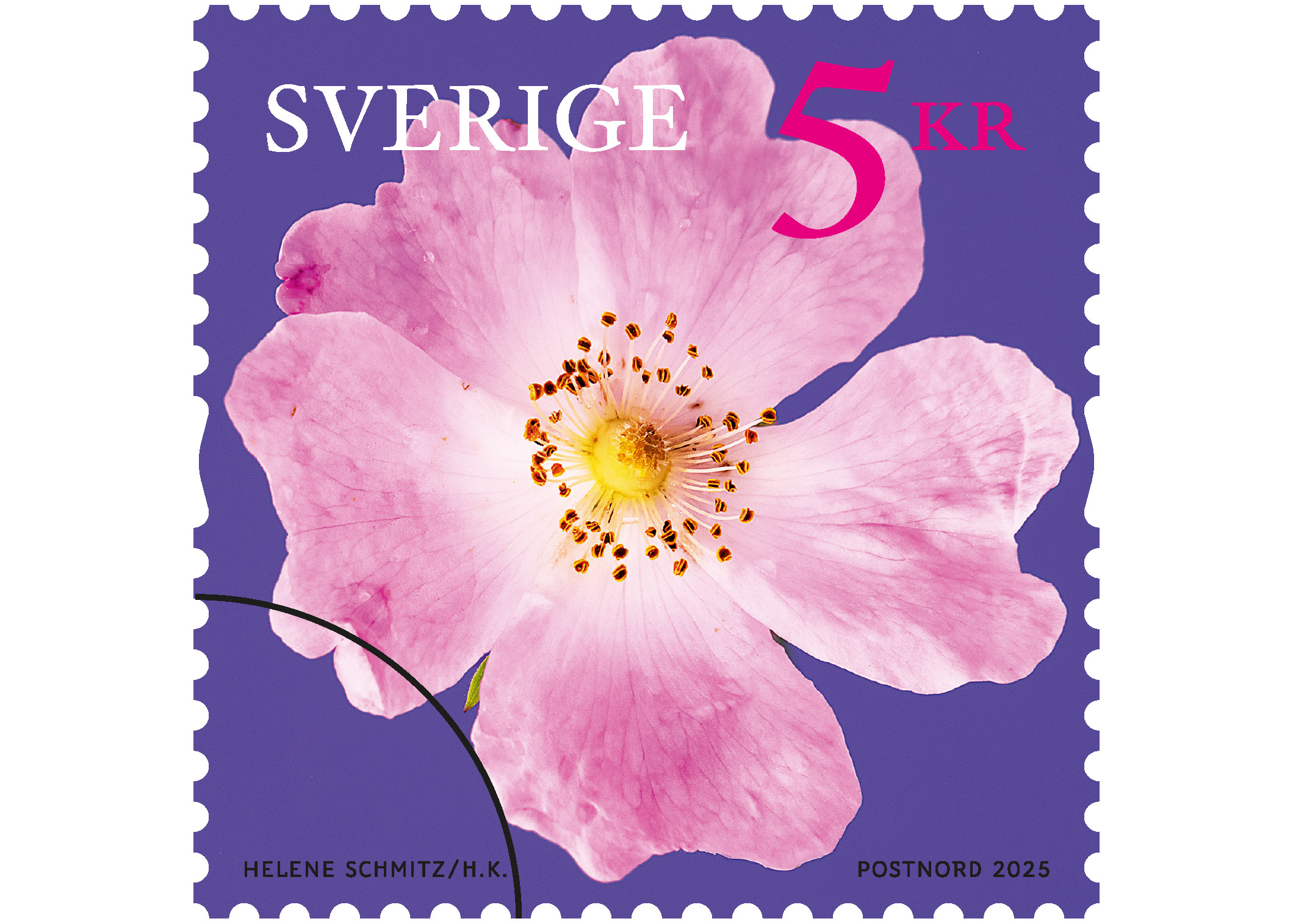 Rullfrimärke med motiv av en nyponros.